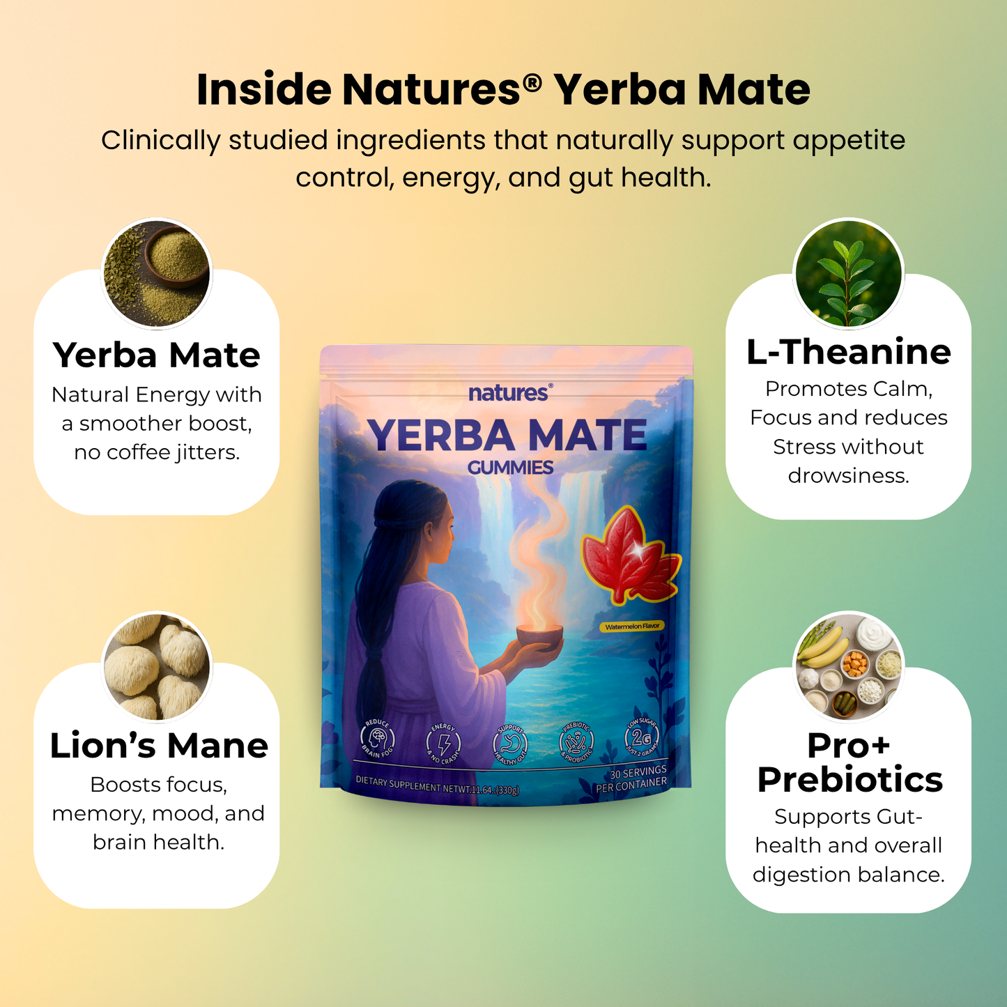 Natures® - Yerba Mate Gummies