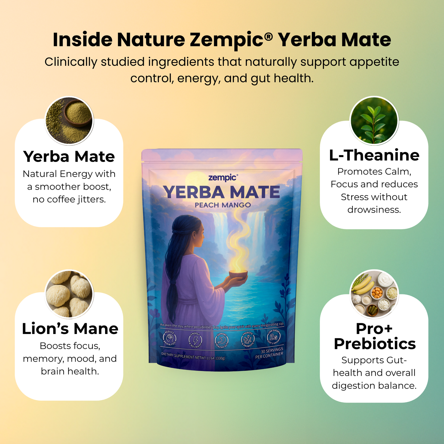 Natures® - Yerba Mate Tea Mix Bundle